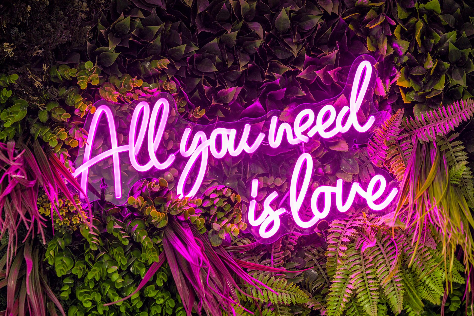 Photograph of a neon sign saying all you need is love at Apton Hall, Rochford, Essex